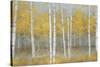 Golden Birch Panel-Jill Schultz McGannon-Stretched Canvas