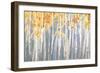 Golden Birches Spice-Danhui Nai-Framed Art Print