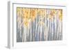 Golden Birches Spice-Danhui Nai-Framed Art Print