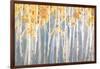 Golden Birches Spice-Danhui Nai-Framed Art Print