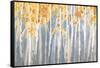 Golden Birches Spice-Danhui Nai-Framed Stretched Canvas