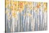 Golden Birches Spice-Danhui Nai-Stretched Canvas