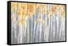 Golden Birches Spice-Danhui Nai-Framed Stretched Canvas