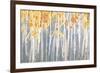 Golden Birches Spice-Danhui Nai-Framed Art Print