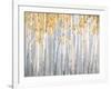 Golden Birches-Danhui Nai-Framed Art Print