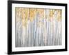 Golden Birches-Danhui Nai-Framed Art Print