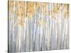 Golden Birches-Danhui Nai-Stretched Canvas