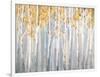 Golden Birches-Danhui Nai-Framed Art Print