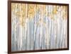 Golden Birches-Danhui Nai-Framed Art Print