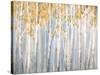 Golden Birches-Danhui Nai-Stretched Canvas