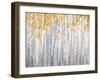 Golden Birches-Danhui Nai-Framed Art Print