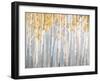 Golden Birches-Danhui Nai-Framed Art Print