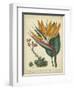 Golden Bird of Paradise-Sydenham Teast Edwards-Framed Art Print