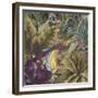 Golden Bird of Paradise-Bill Jackson-Framed Giclee Print