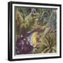 Golden Bird of Paradise-Bill Jackson-Framed Giclee Print