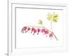 Golden Bleeding Heart-Judy Stalus-Framed Art Print