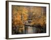 Golden Blessings-Jai Johnson-Framed Giclee Print