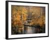 Golden Blessings-Jai Johnson-Framed Giclee Print