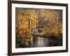 Golden Blessings-Jai Johnson-Framed Giclee Print