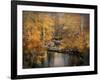 Golden Blessings-Jai Johnson-Framed Giclee Print