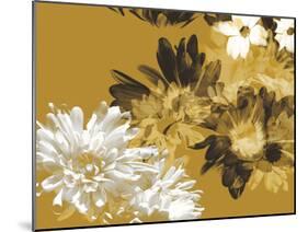 Golden Bloom I-A. Project-Mounted Art Print