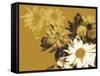 Golden Bloom II-A. Project-Framed Stretched Canvas