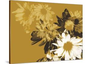 Golden Bloom II-A. Project-Stretched Canvas