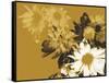 Golden Bloom II-A. Project-Framed Stretched Canvas