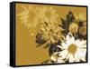 Golden Bloom II-A. Project-Framed Stretched Canvas