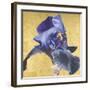 Golden Blue-Sarah Caswell-Framed Giclee Print