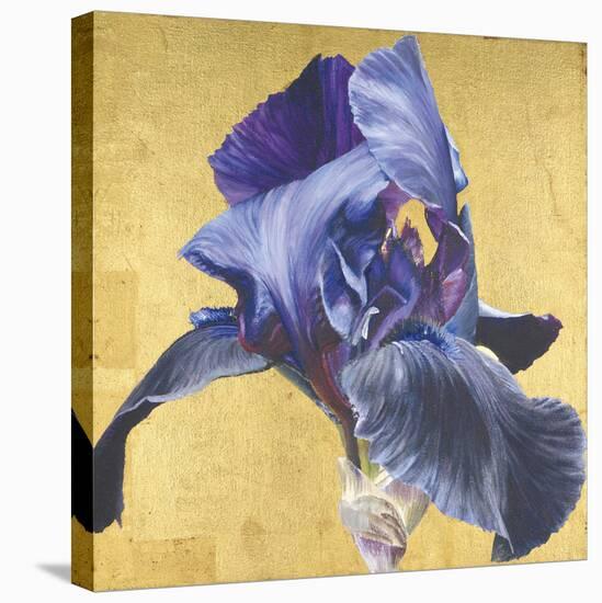 Golden Blue-Sarah Caswell-Stretched Canvas