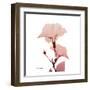 Golden Blush 1-Albert Koetsier-Framed Art Print