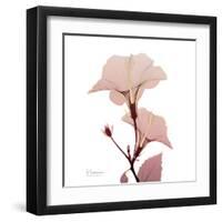 Golden Blush 1-Albert Koetsier-Framed Art Print