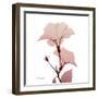 Golden Blush 1-Albert Koetsier-Framed Art Print