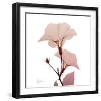 Golden Blush 1-Albert Koetsier-Framed Art Print