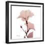 Golden Blush 1-Albert Koetsier-Framed Art Print