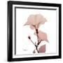 Golden Blush 1-Albert Koetsier-Framed Art Print