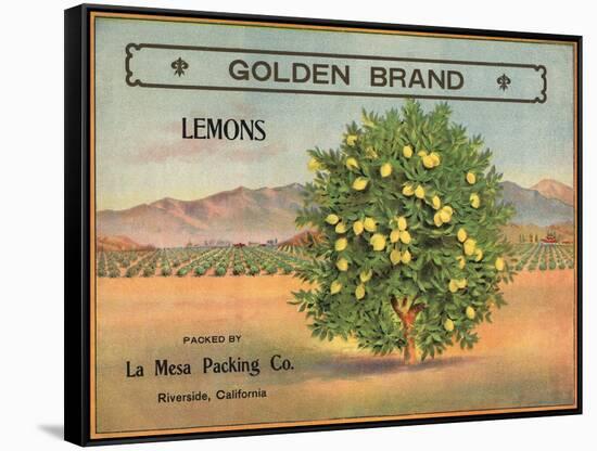 Golden Brand - Riverside, California - Citrus Crate Label-Lantern Press-Framed Stretched Canvas