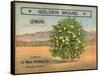 Golden Brand - Riverside, California - Citrus Crate Label-Lantern Press-Framed Stretched Canvas