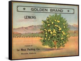 Golden Brand - Riverside, California - Citrus Crate Label-Lantern Press-Framed Stretched Canvas