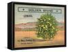 Golden Brand - Riverside, California - Citrus Crate Label-Lantern Press-Framed Stretched Canvas