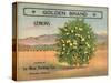 Golden Brand - Riverside, California - Citrus Crate Label-Lantern Press-Stretched Canvas