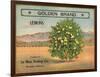 Golden Brand - Riverside, California - Citrus Crate Label-Lantern Press-Framed Art Print