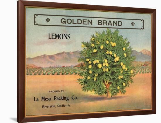 Golden Brand - Riverside, California - Citrus Crate Label-Lantern Press-Framed Art Print