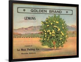 Golden Brand - Riverside, California - Citrus Crate Label-Lantern Press-Framed Art Print