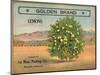 Golden Brand - Riverside, California - Citrus Crate Label-Lantern Press-Mounted Art Print