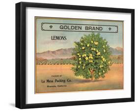 Golden Brand - Riverside, California - Citrus Crate Label-Lantern Press-Framed Art Print