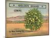 Golden Brand - Riverside, California - Citrus Crate Label-Lantern Press-Mounted Art Print