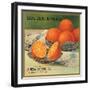 Golden Brand - Riverside, California - Citrus Crate Label-Lantern Press-Framed Art Print