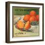 Golden Brand - Riverside, California - Citrus Crate Label-Lantern Press-Framed Art Print